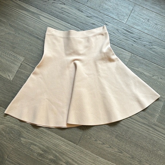 🔥BCBGMaxaria🔥 | Ingrid a-line high waisted skirt in bare pink - Picture 4 of 13